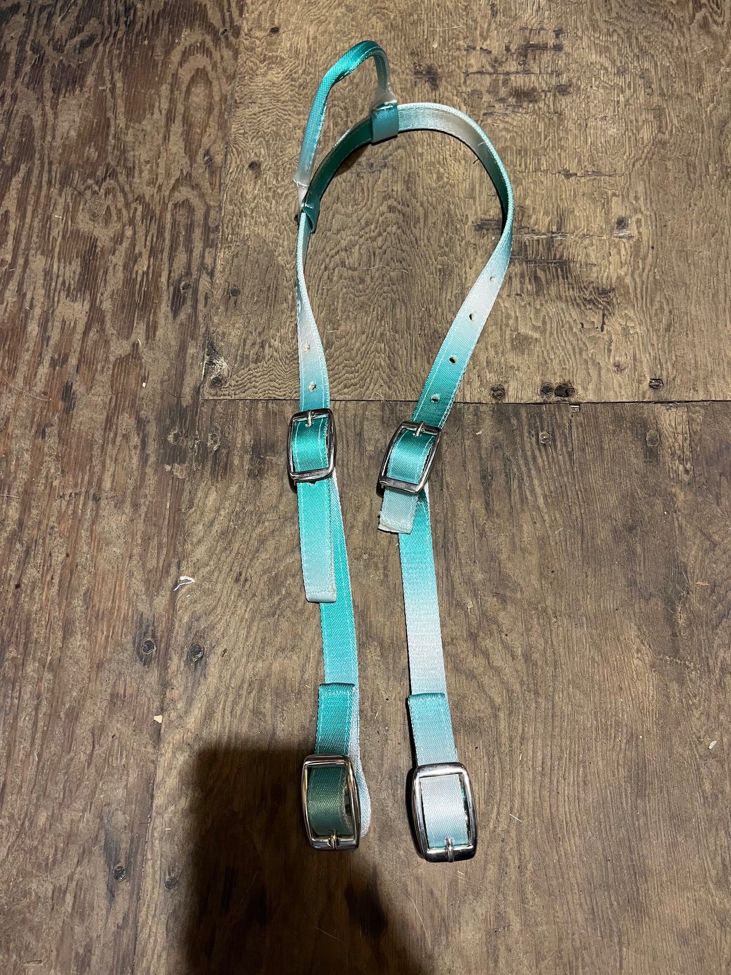 Teal ombre nylon one ear quick change headstall