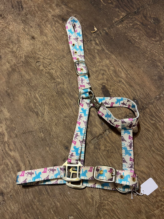 Horses halter full