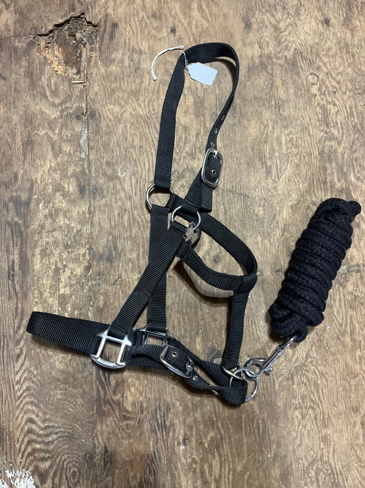 Black halter with lead