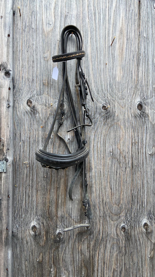 Passier double bridle full size