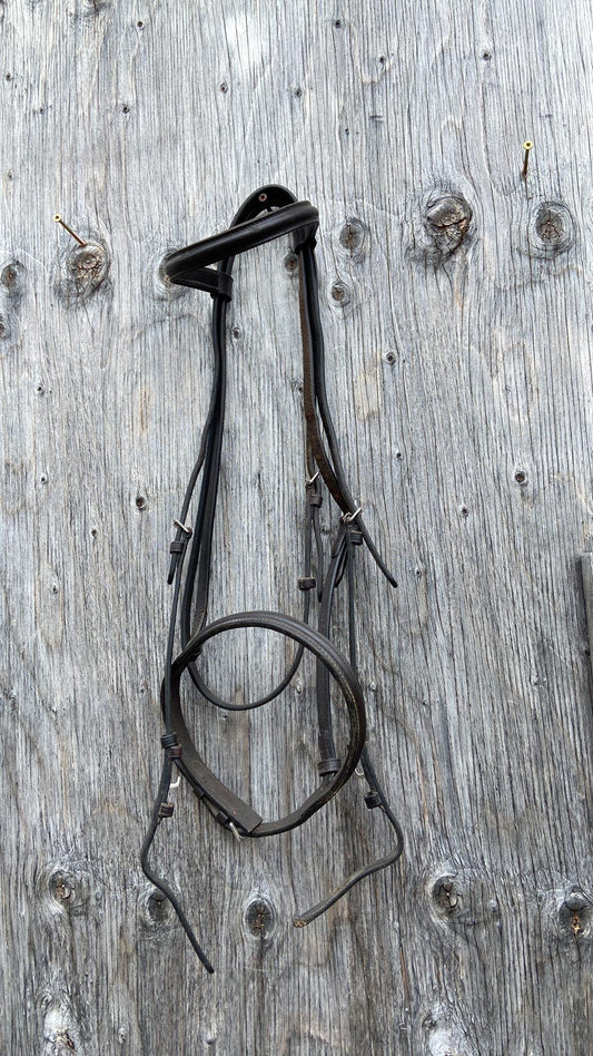 Plain English bridle