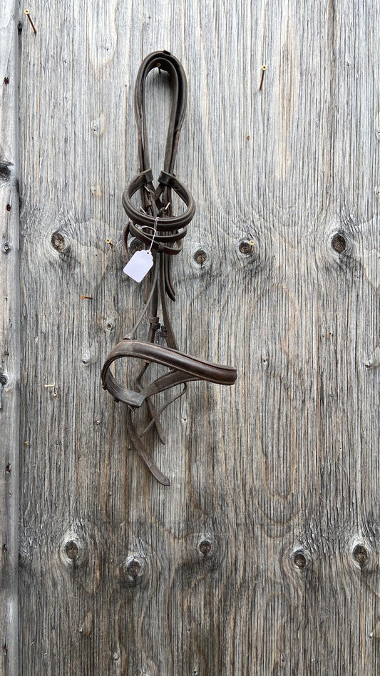 Wide crown plain bridle