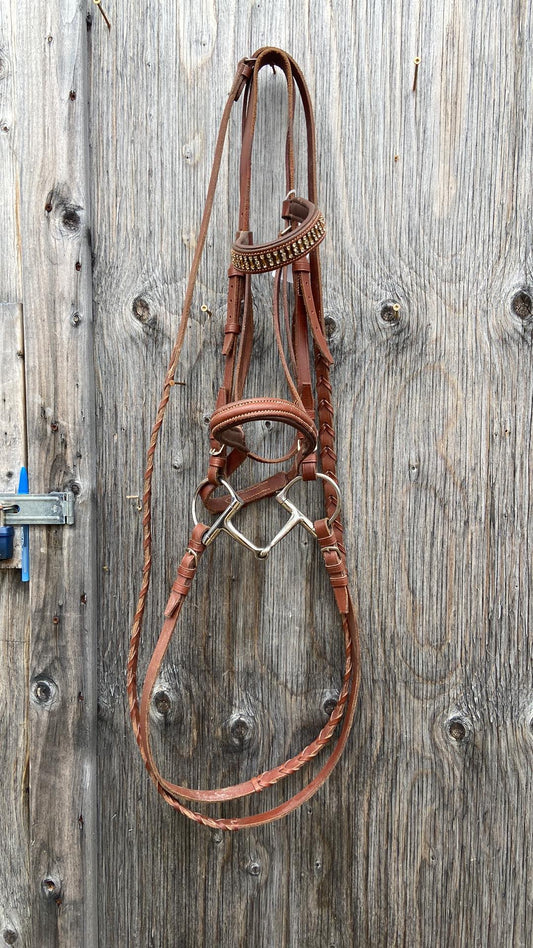 Full size bridle with bit and reins