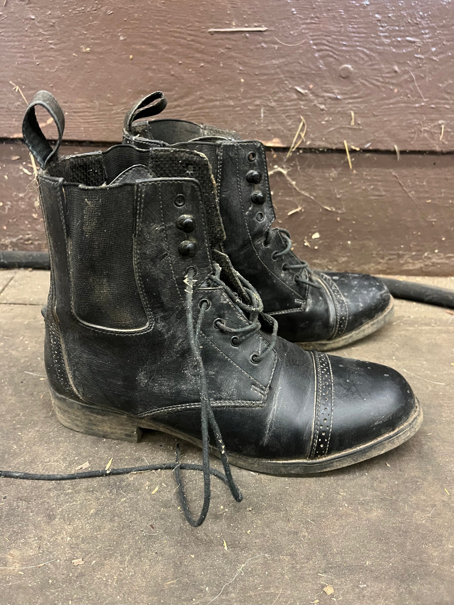 Two pairs paddock boots