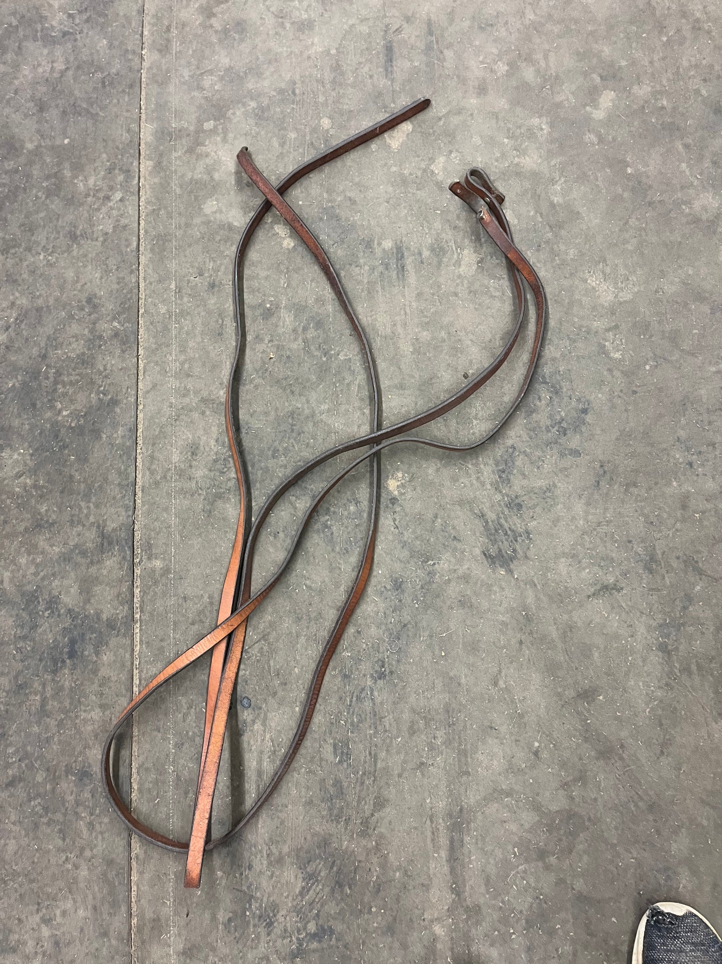 Circle y split reins used