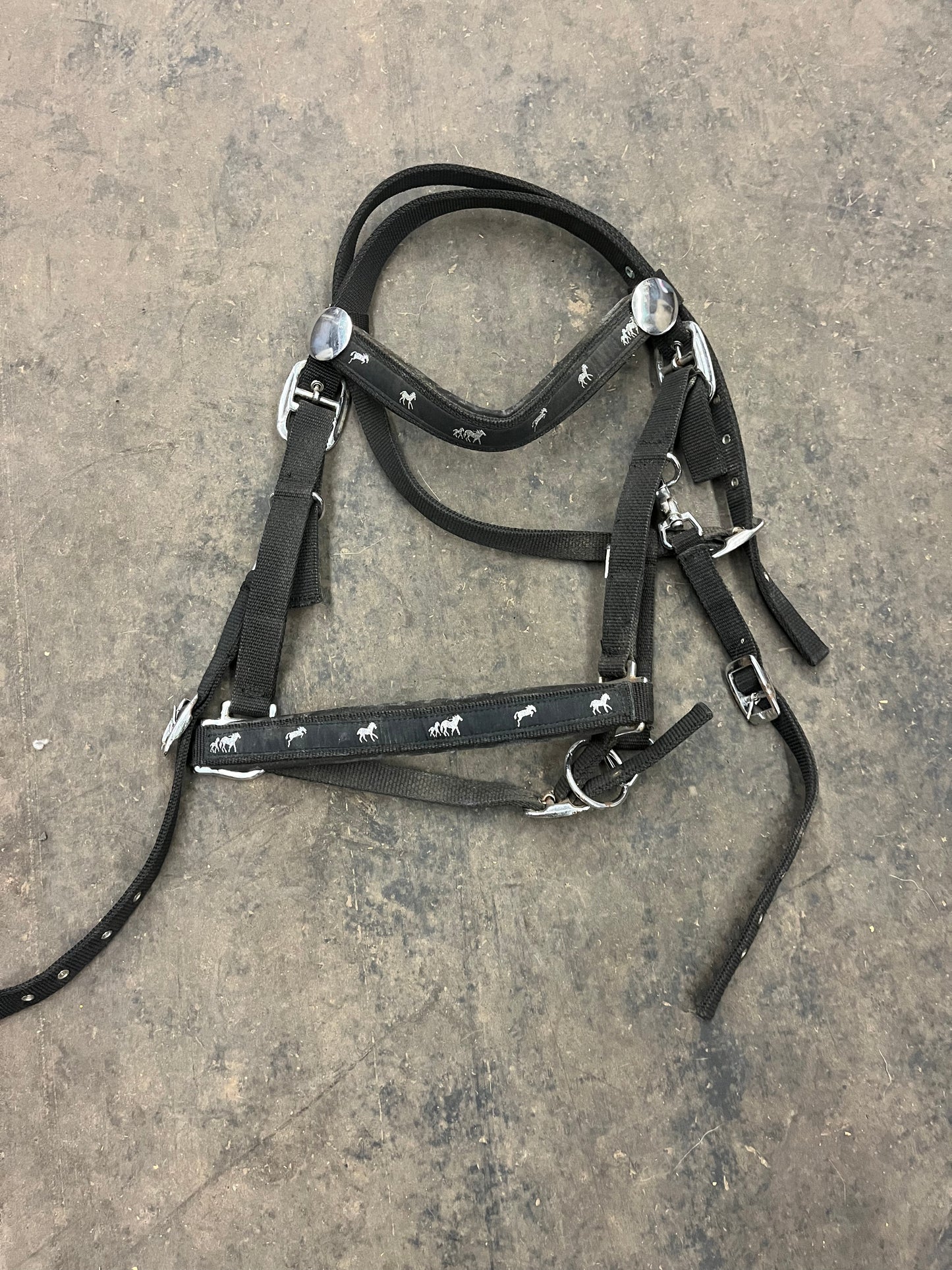 Horse print trail halter bridle