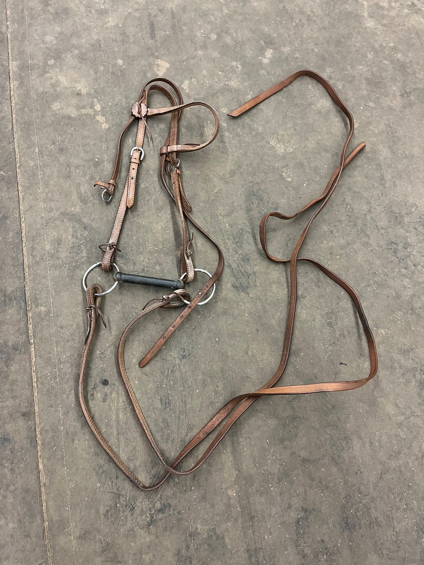 Headstall with bit and reins