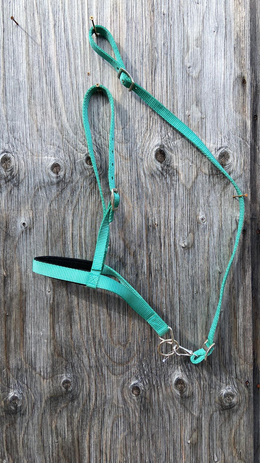 Noseband and tie down strap sets