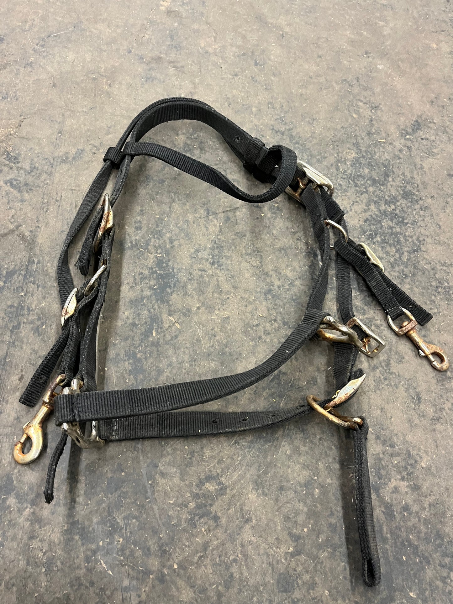 Used trail halter bridle