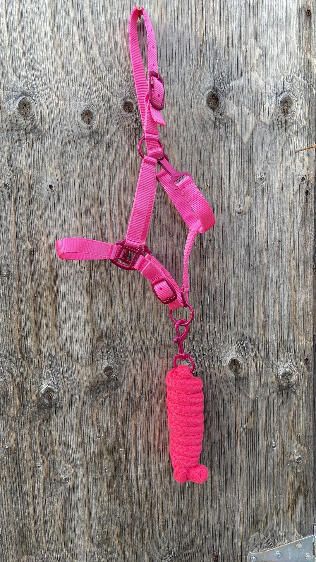 Pony halters with matching leads set