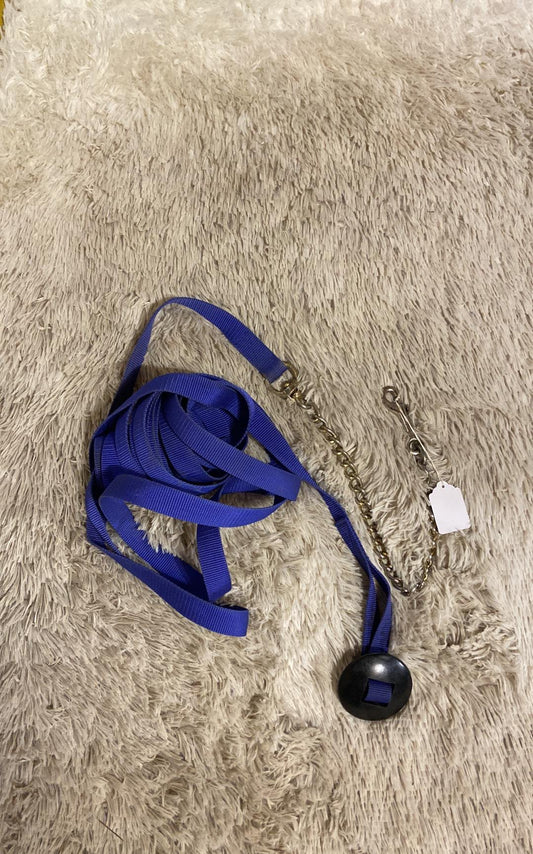 Blue nylon lunge line with chain