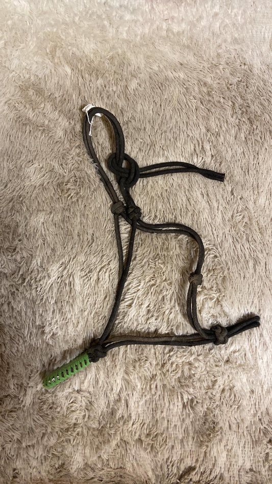 Black rope halter with lime green nose