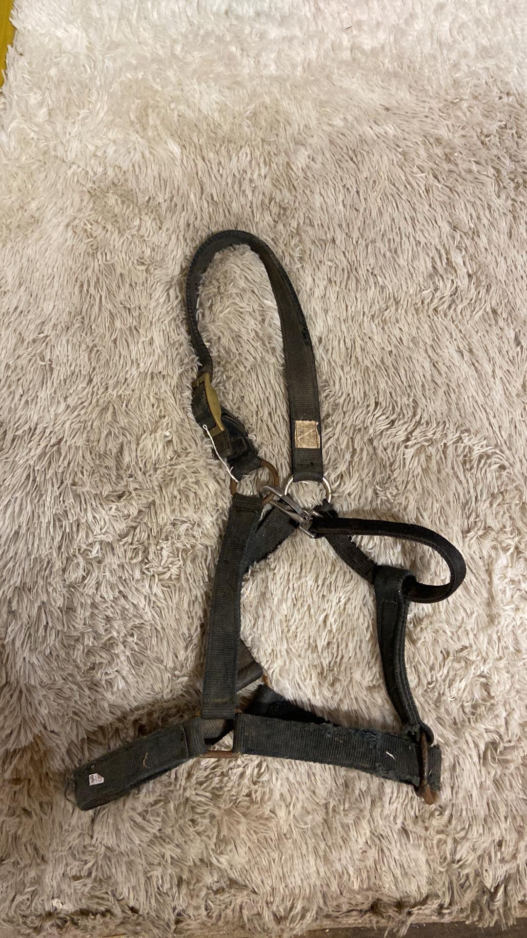 Used black draft halter