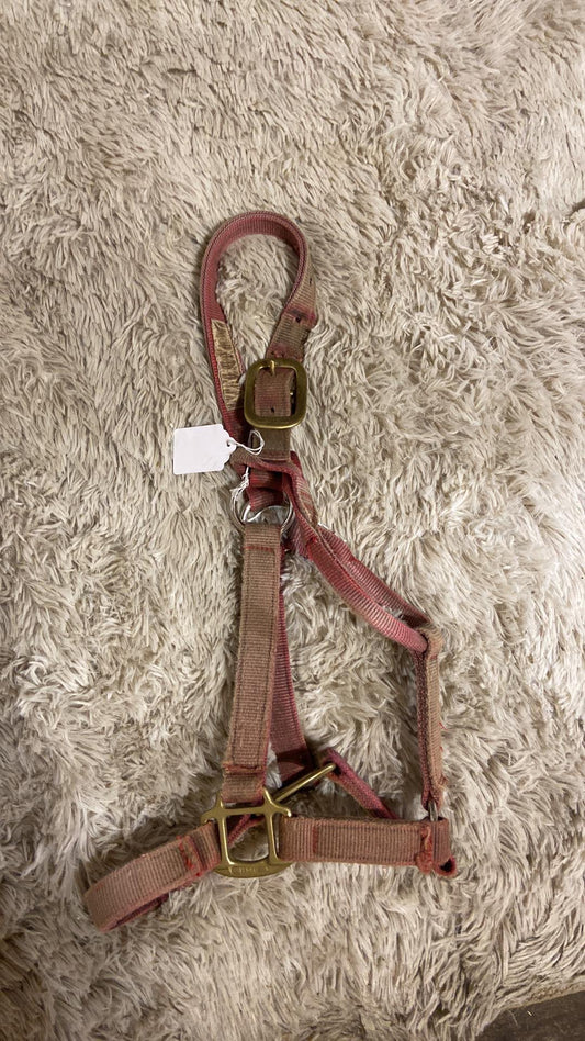 Used halter appears cob size