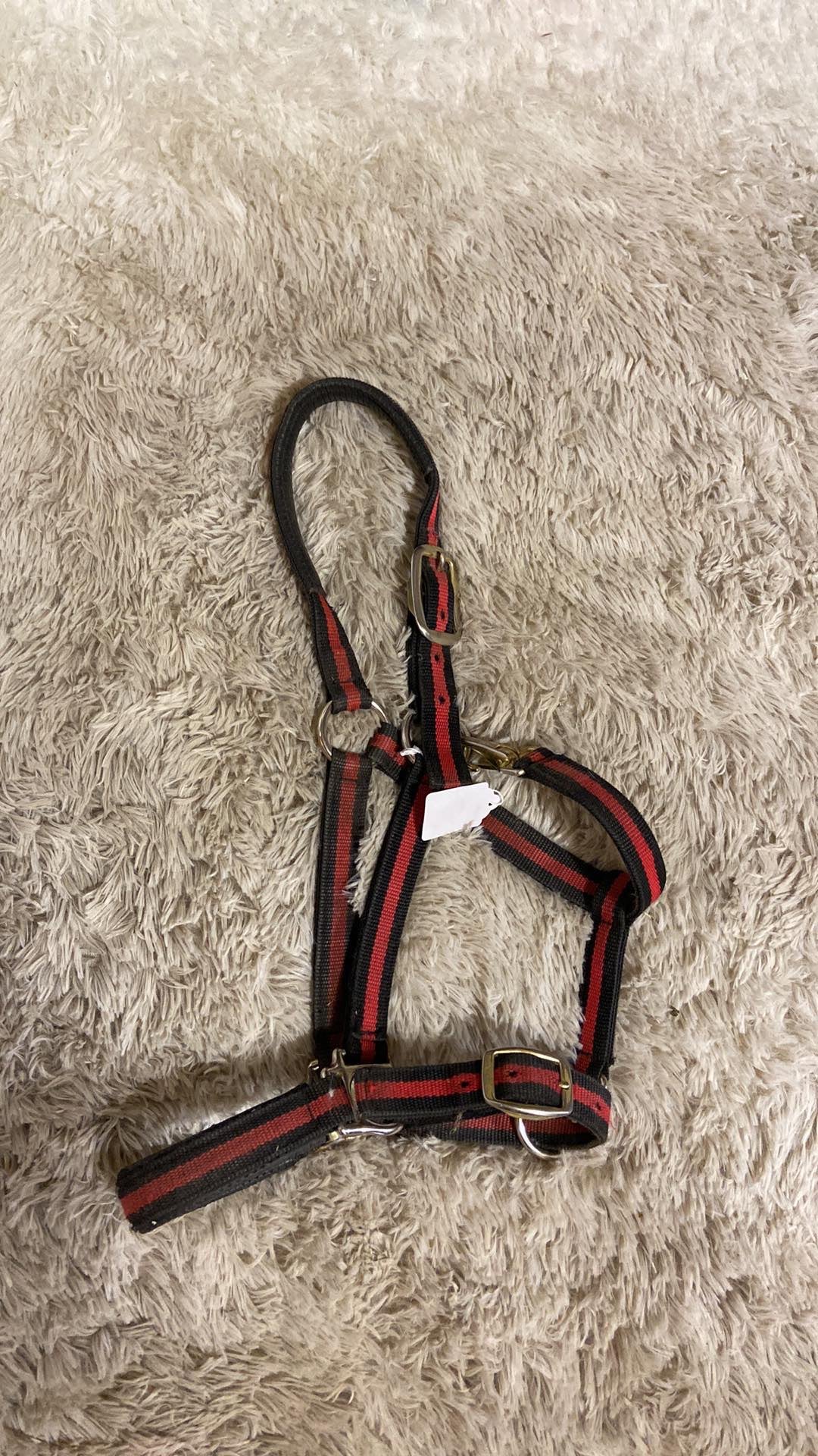 Weaver used full size halter