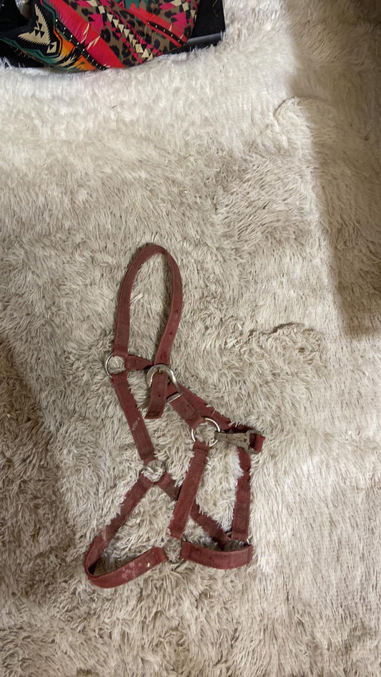 Used halter