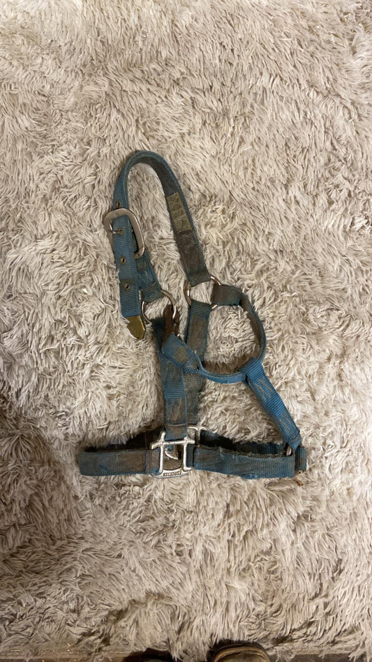 Used halter appears pony/ cob