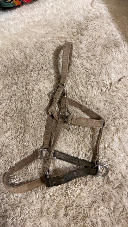 Well used halter