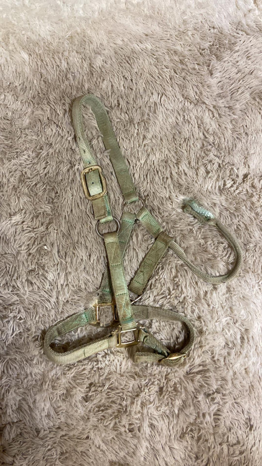 Halter needs a snap appears small horse size