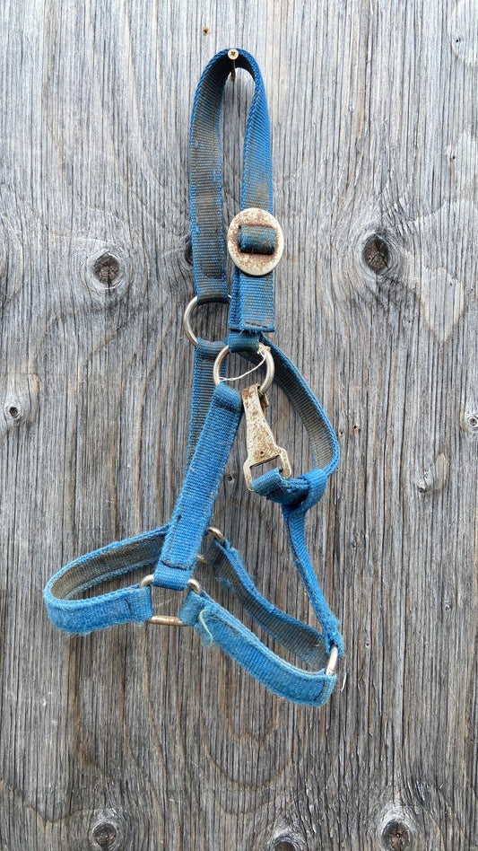 Adjustable used pony halter