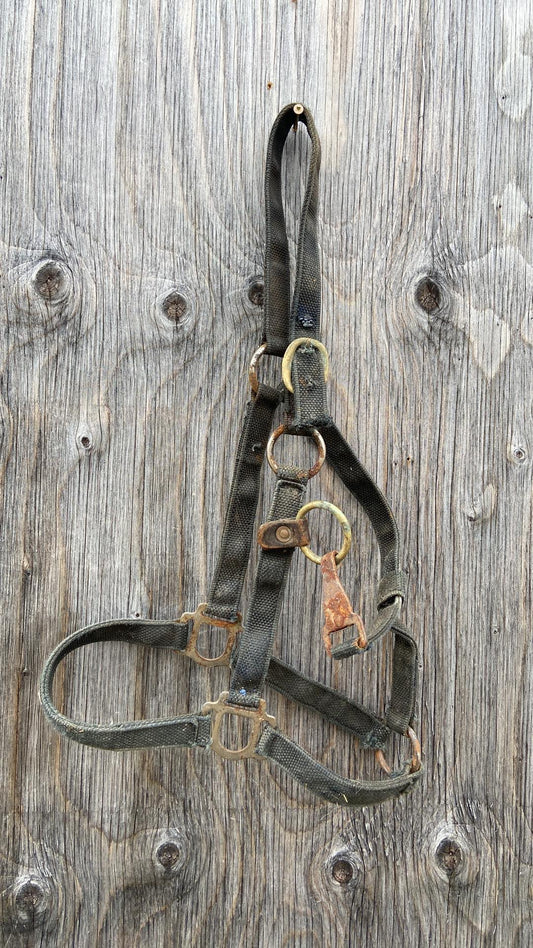 Well used halter with repair