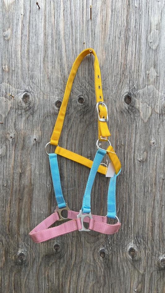 Coloured halter full size