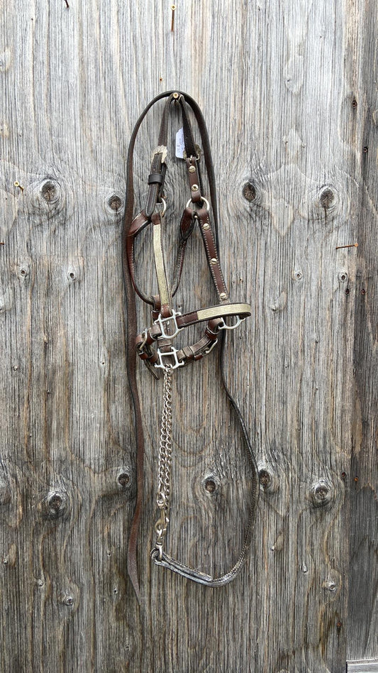 Foal/ small pony western show halter and lead set