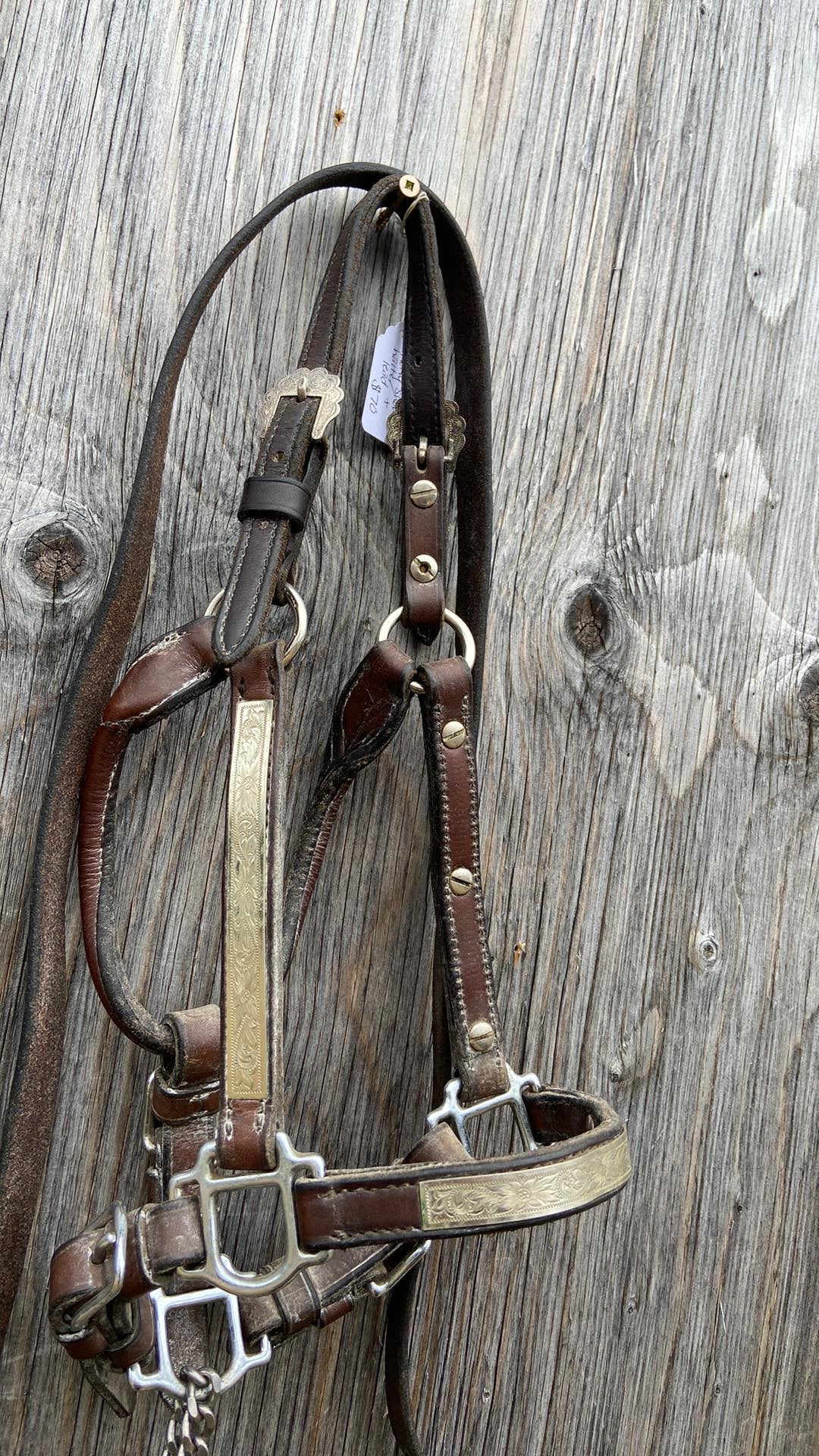 Foal/ small pony western show halter and lead set