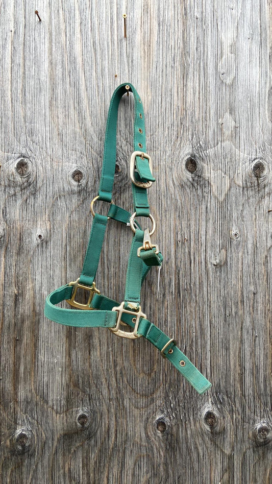 Green pony size halter