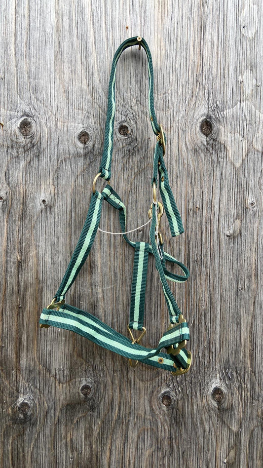 Full size green two tone halter