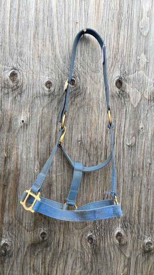 Full size blue halter