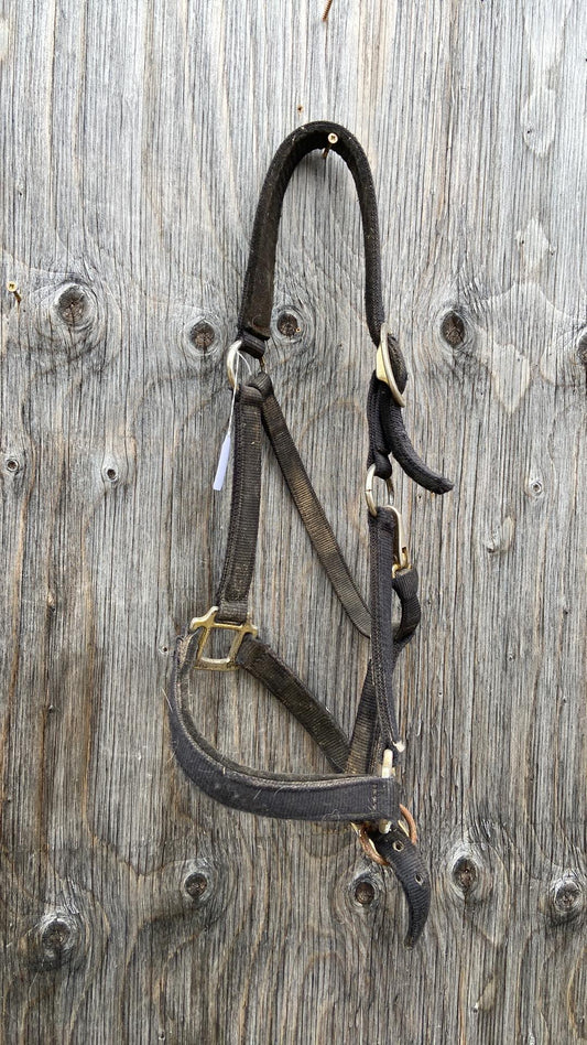 Black nylon halter appears full size