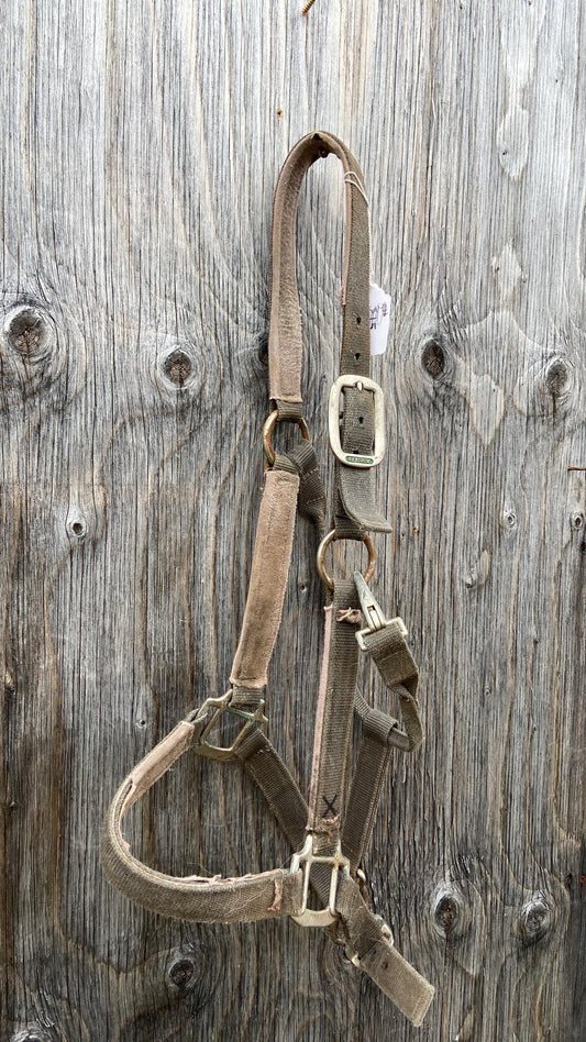 Full size halter