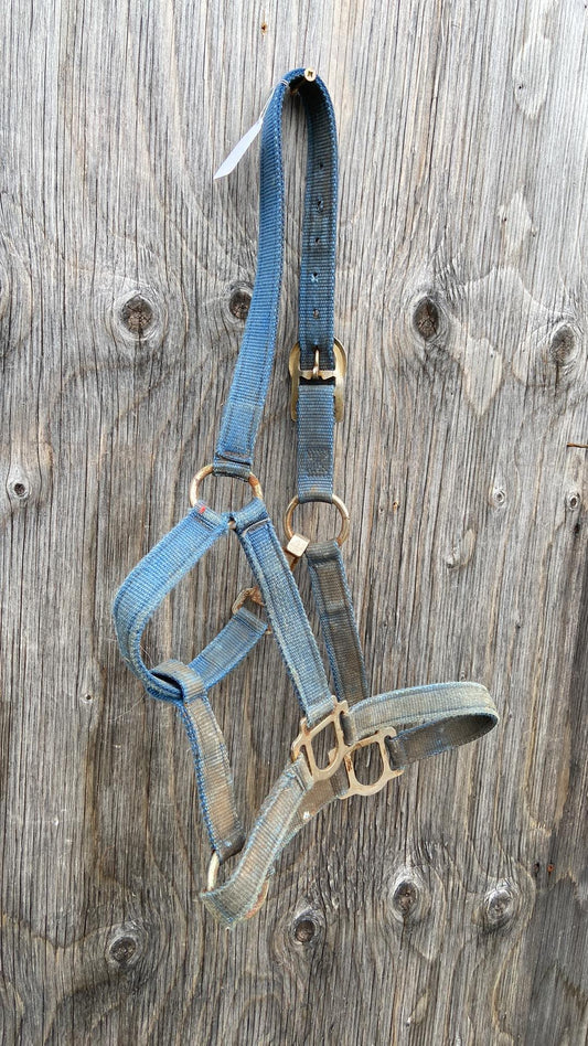 Cob size blue halter
