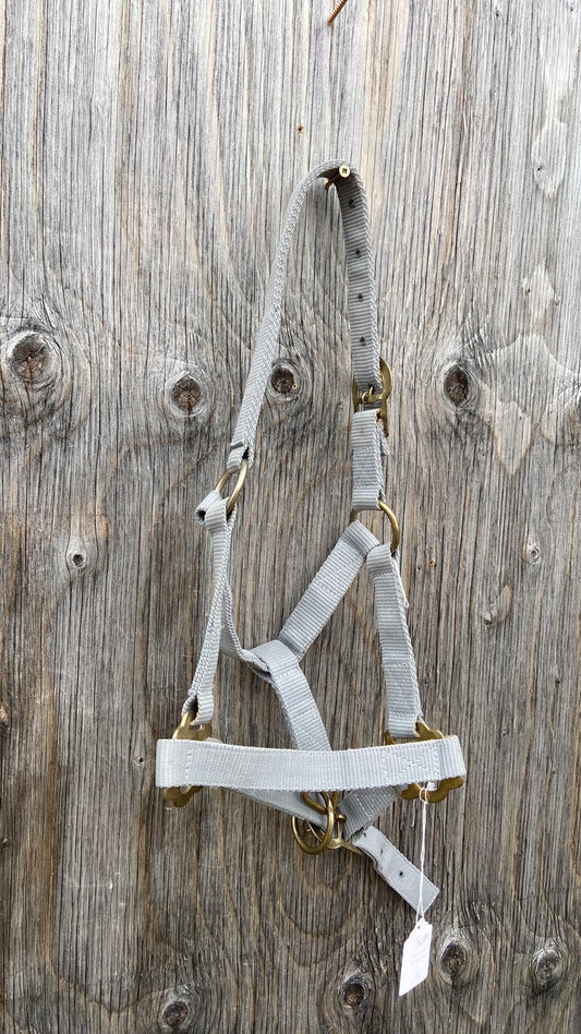 Pony size grey halter