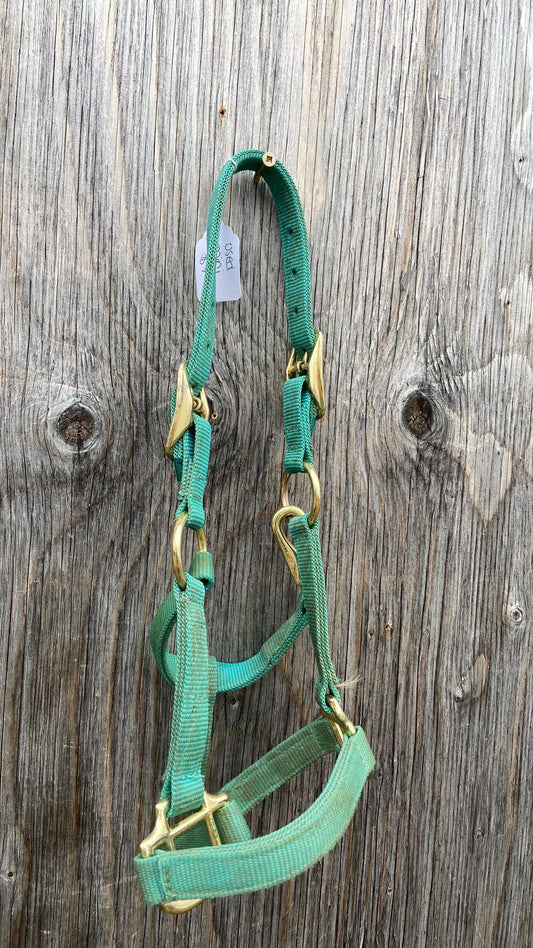 Mini teal halter
