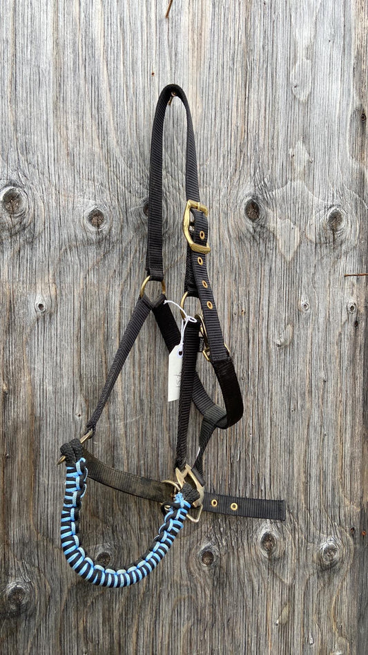 Braided nose horse size halter