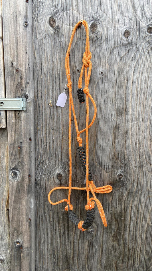Black and orange rope halter full size