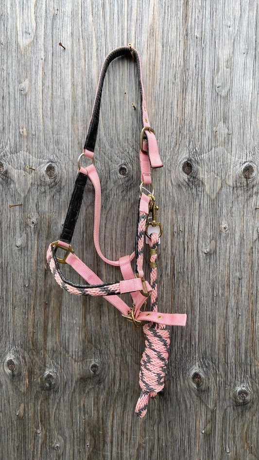 Full size halter with matching lead