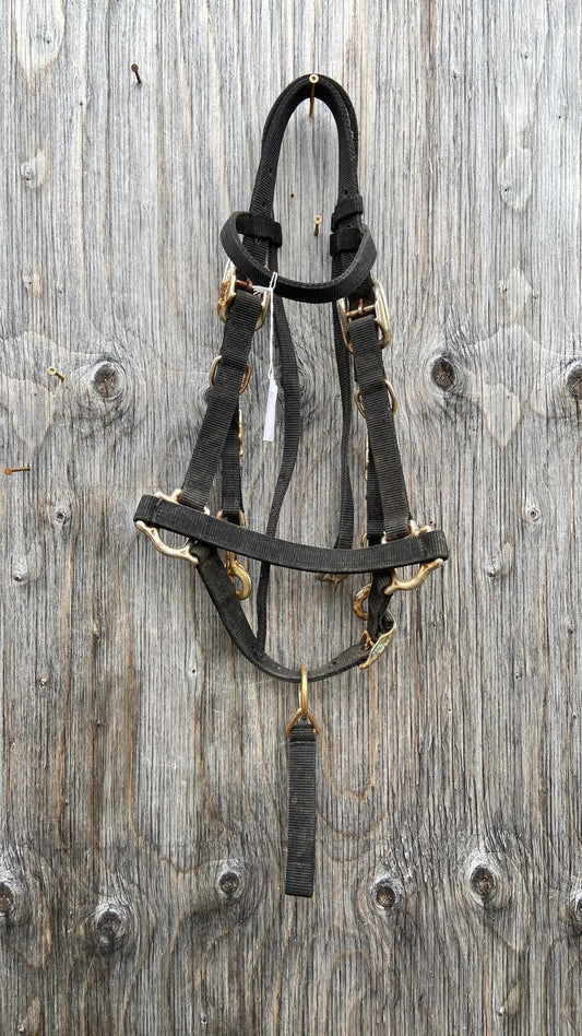 Trail halter bridle