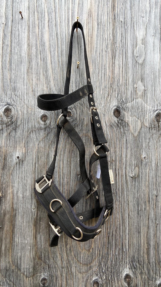 Lunging cavesson full