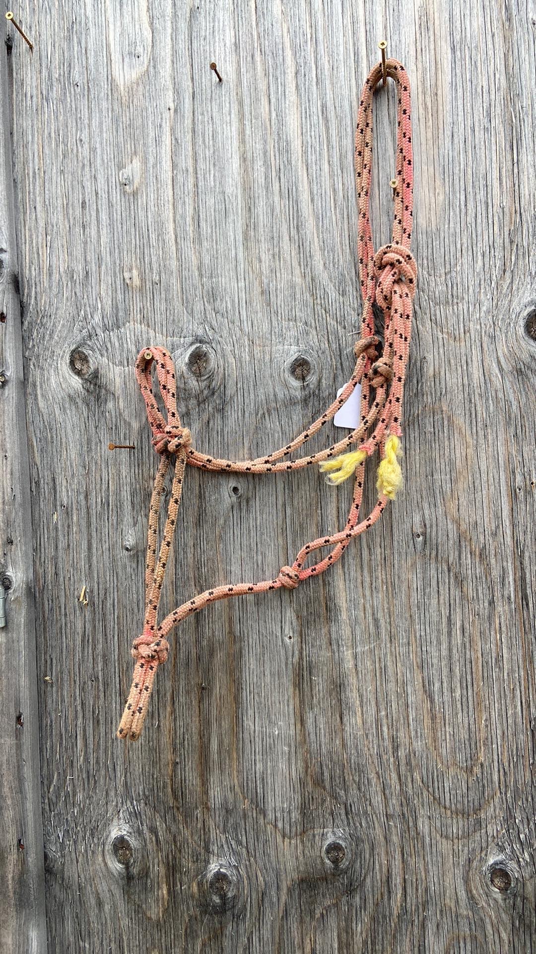 Well used rope halter