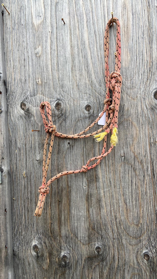 Well used rope halter