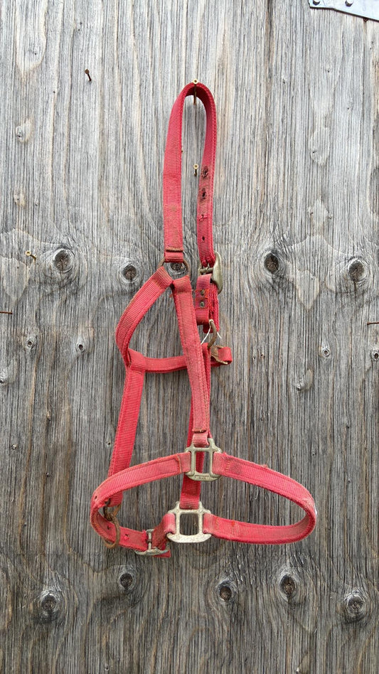 Red draft halter