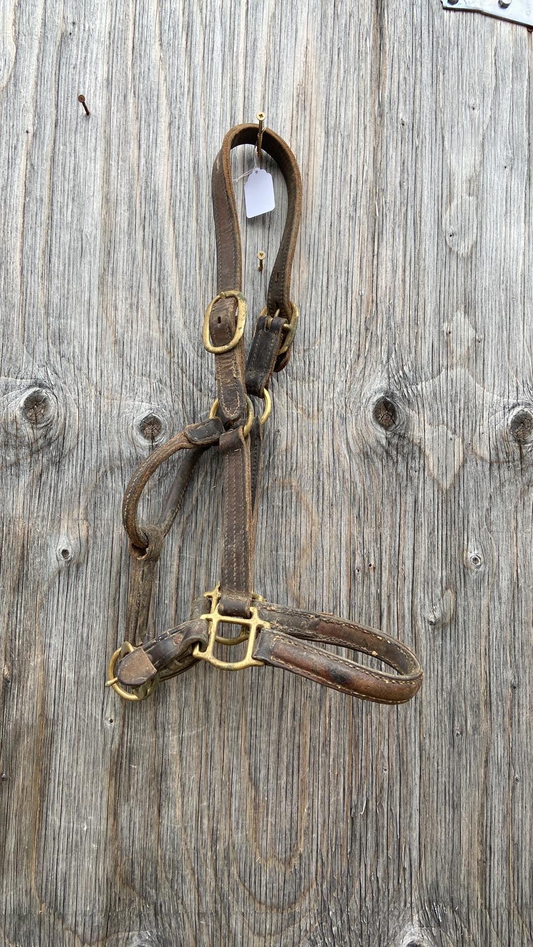 Used halters and leads