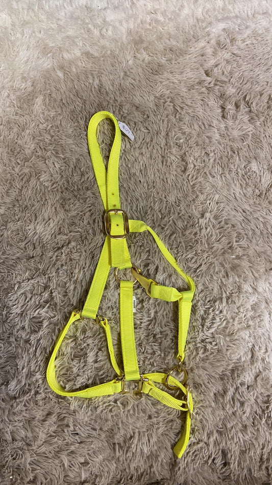 Yellow doubly ply full size halter new