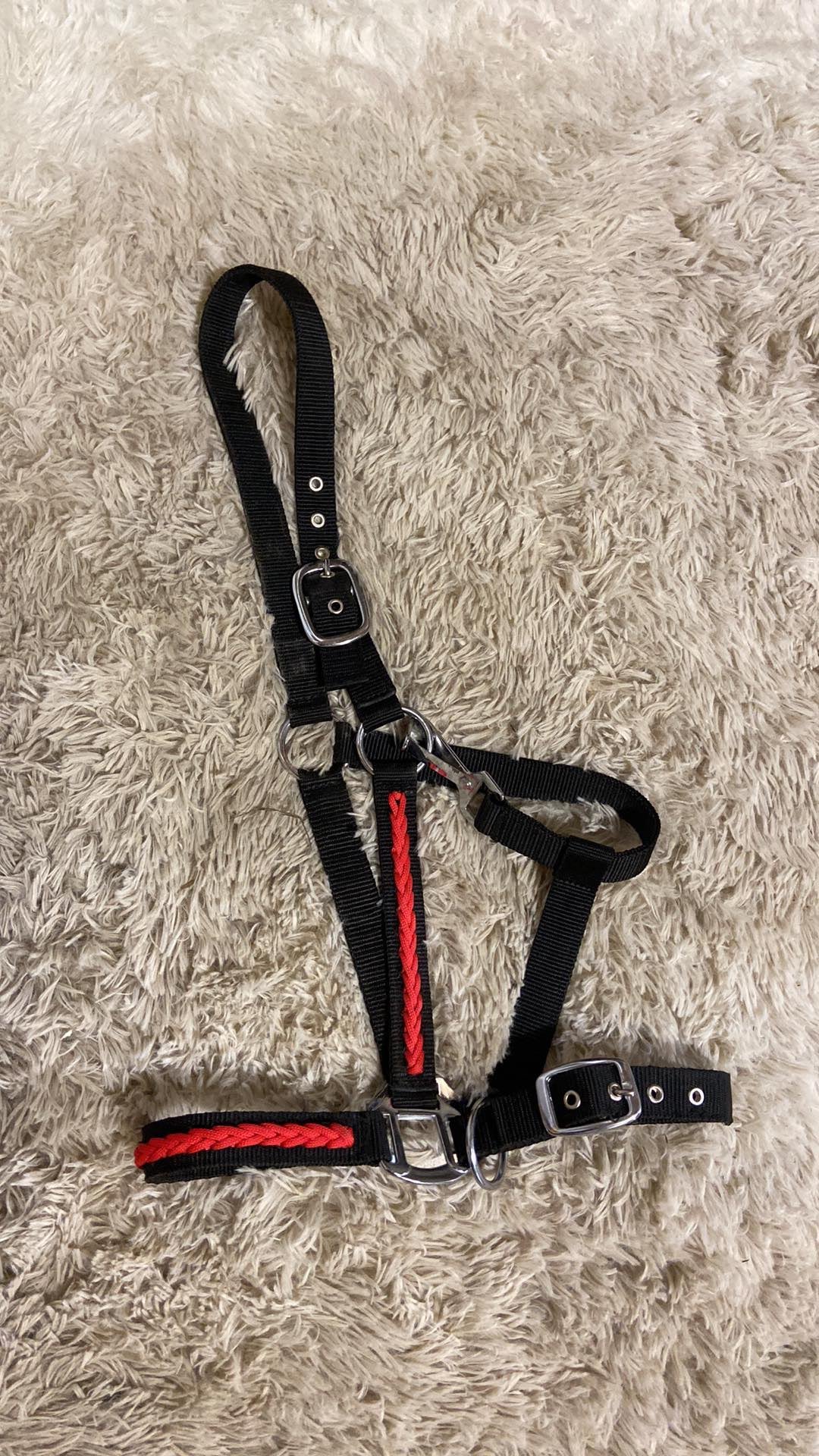 Black and red full size halter with braided nose new