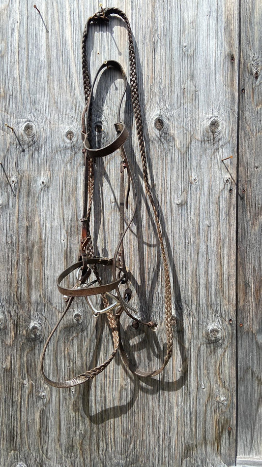 English bridle with reins and full cheek