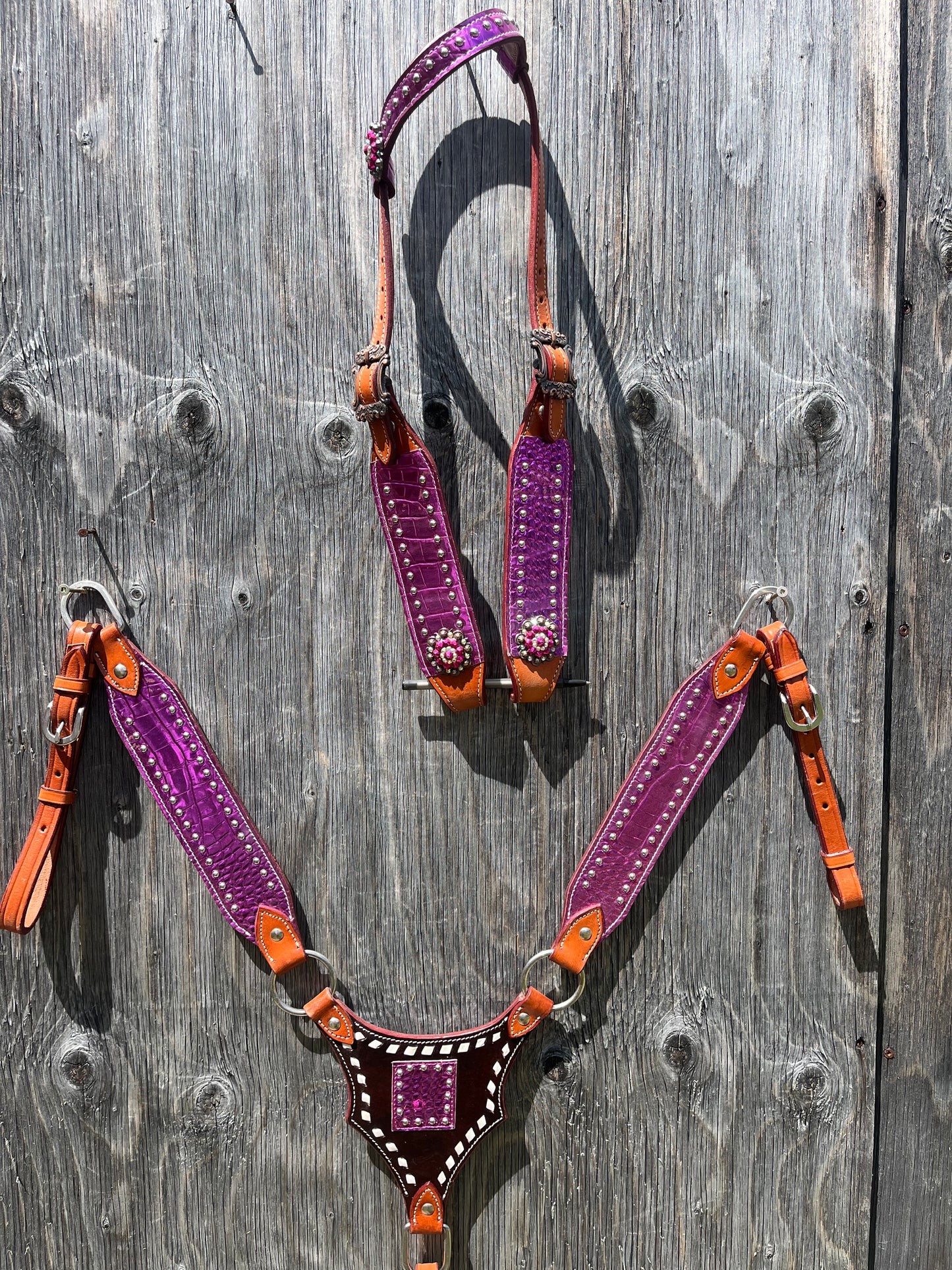 Purple gladiator tack set one ear