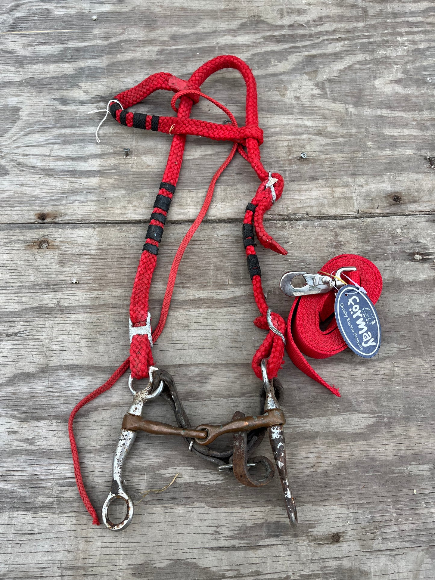 New red webbing small lead and used nylon headstall with bit and curb will need buckles replaced
